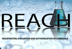 logo Reach
